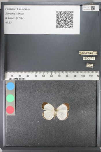 Media type: image;   Entomology 120604